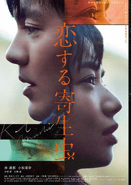 私人影院免费观看电视剧大全 还珠格格